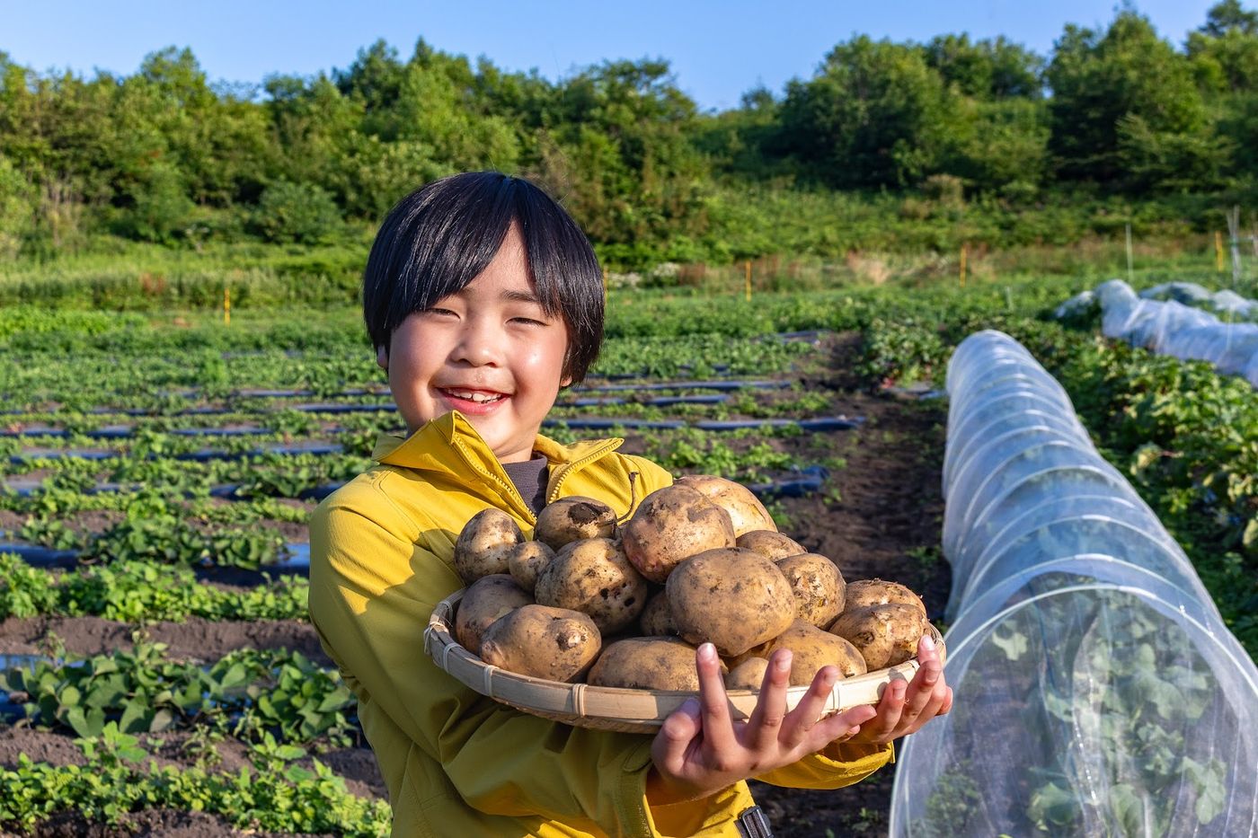 新じゃがを両手いっぱいに持つ子ども